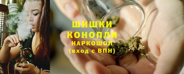 дмт Киреевск