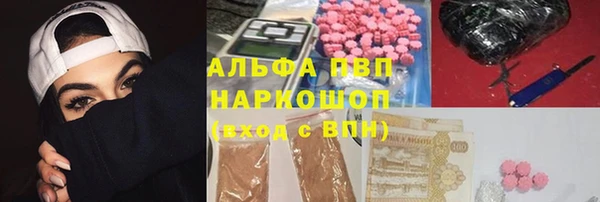 амф Касимов