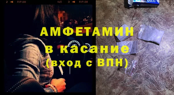 прущие грибы Карталы