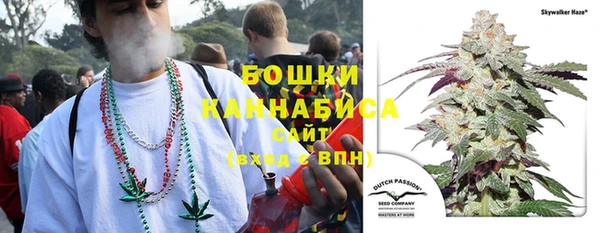 амф Касимов