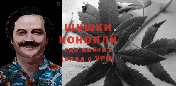 амф Касимов