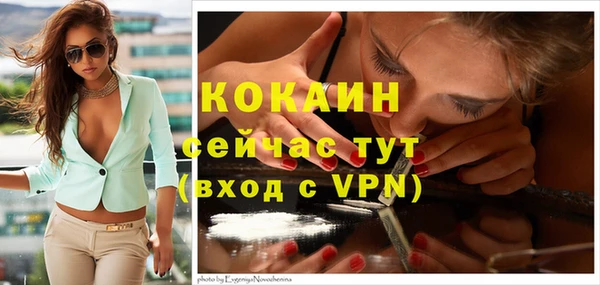 амф Касимов