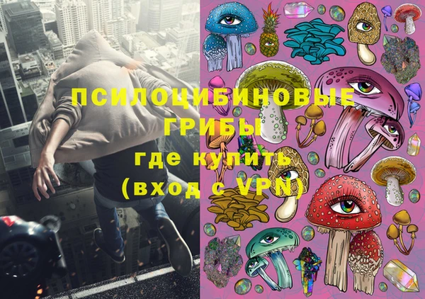 амф Касимов