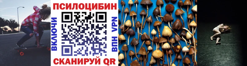 блэк спрут зеркало  купить наркоту  Орехово-Зуево  Псилоцибиновые грибы мицелий 